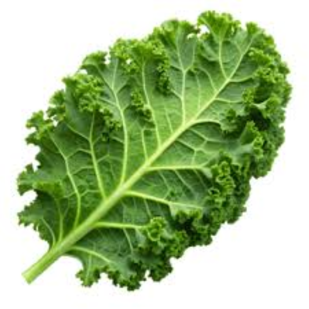 FRESH KANZIRA